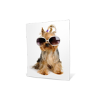 Photo Enlargements
