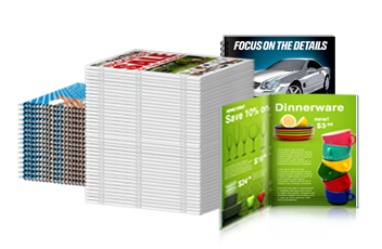 Bulk Catalogs (250+)