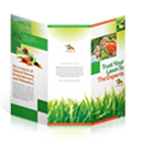 Brochure Printing
